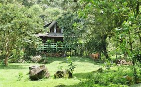 Mindo Eco Chalet Con Rio Y Cascada