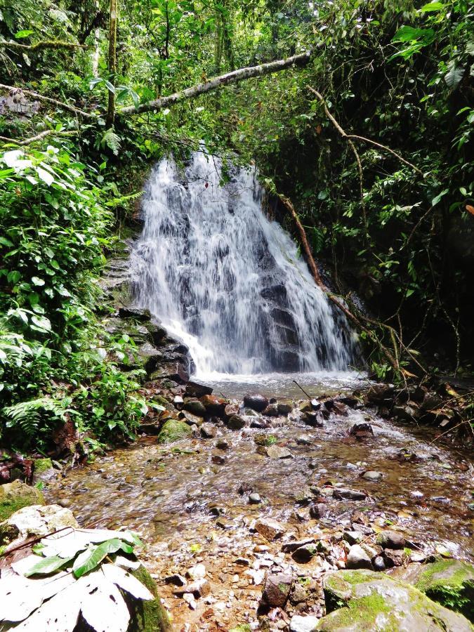 Mindo Eco Chalet Con Rio Y Cascada Exterior photo
