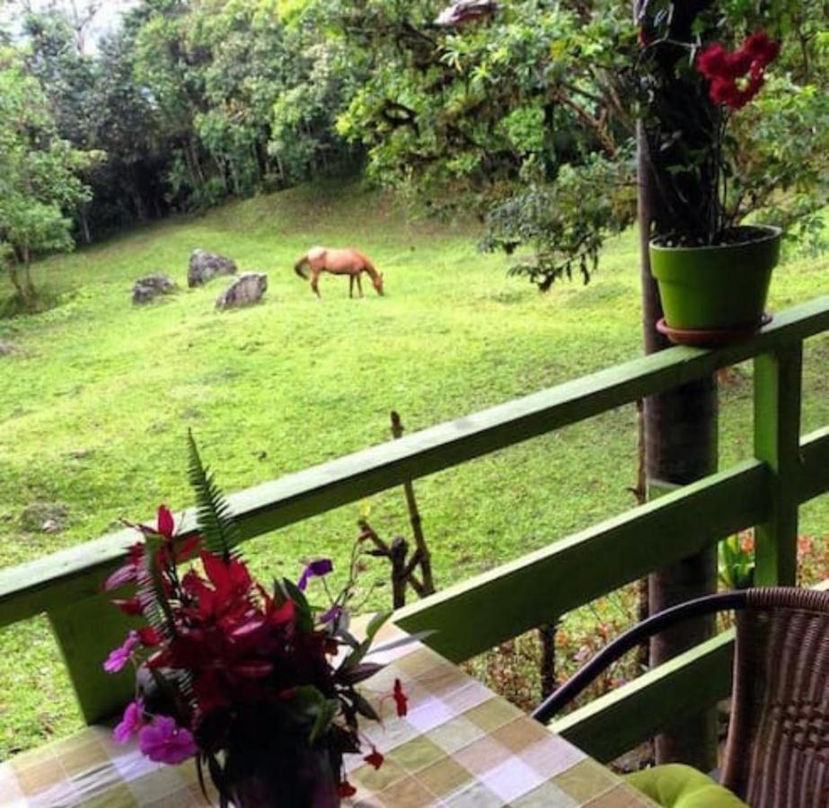 Mindo Eco Chalet Con Rio Y Cascada Exterior photo