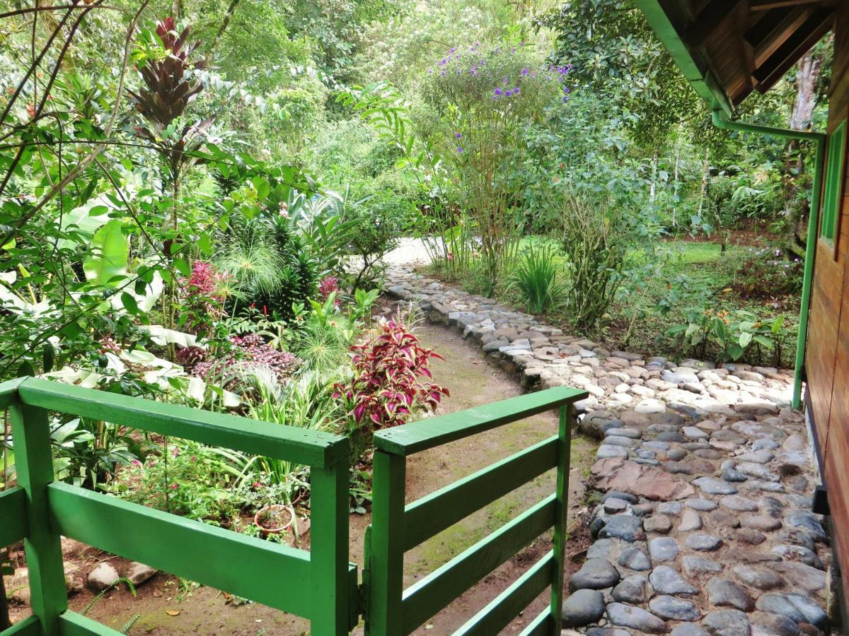 Mindo Eco Chalet Con Rio Y Cascada Exterior photo