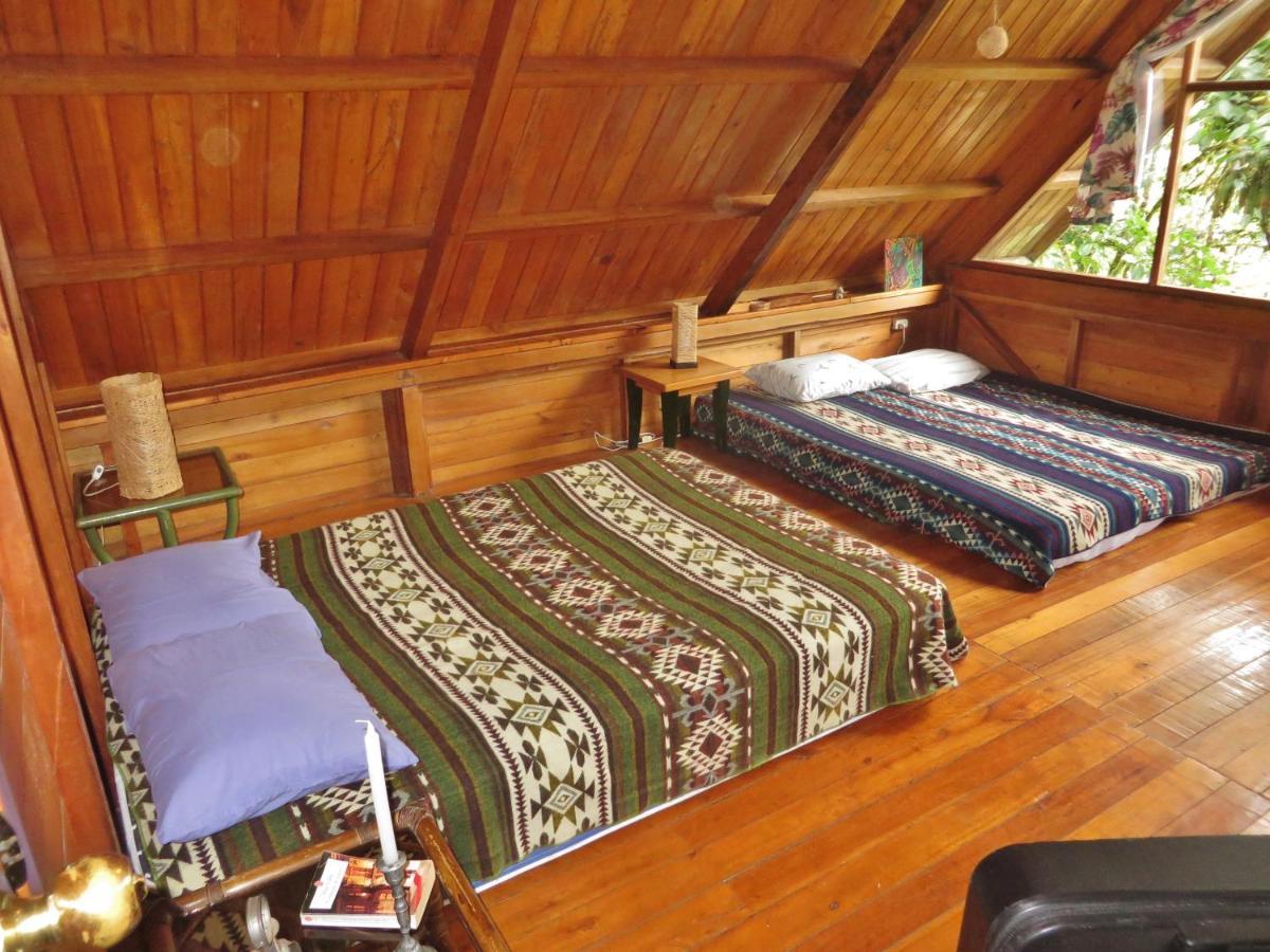 Mindo Eco Chalet Con Rio Y Cascada Exterior photo