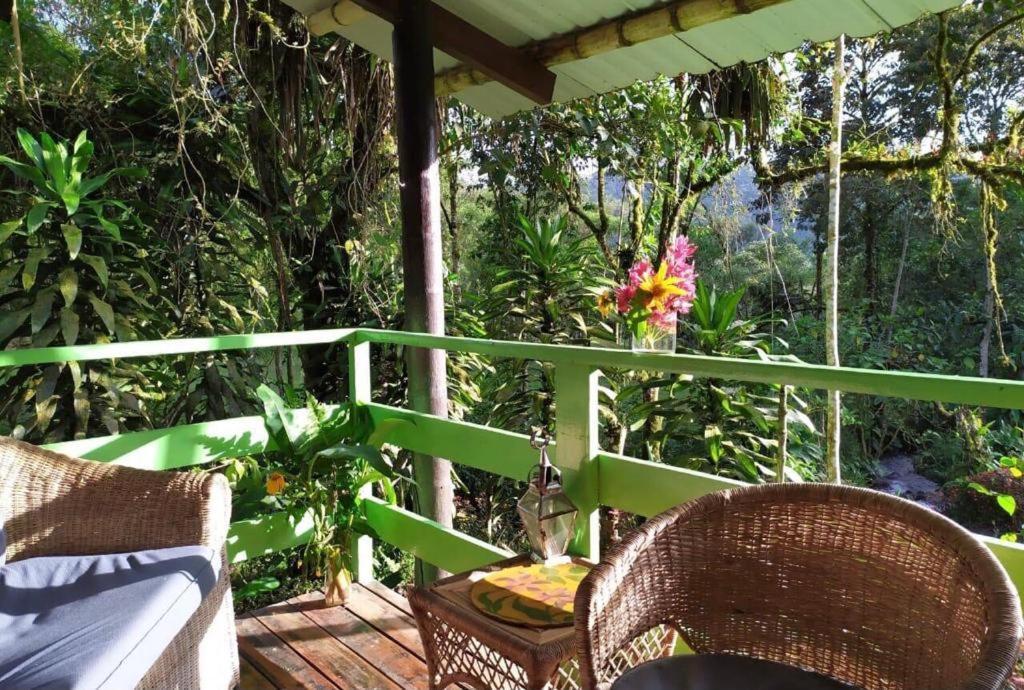 Mindo Eco Chalet Con Rio Y Cascada Exterior photo