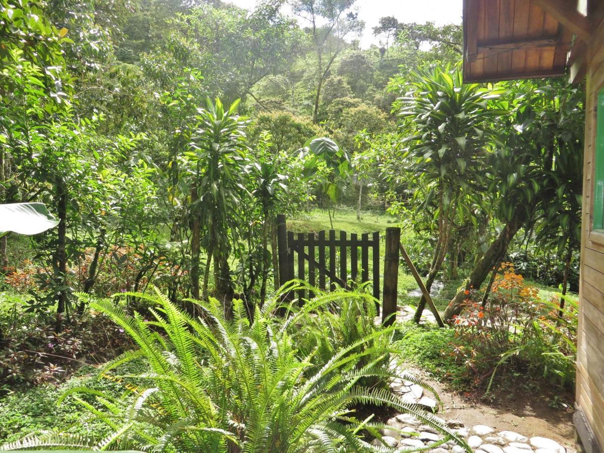 Mindo Eco Chalet Con Rio Y Cascada Exterior photo