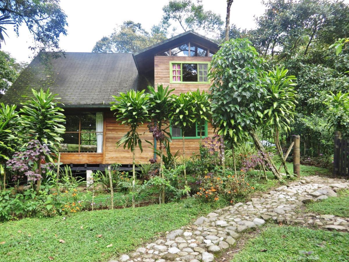 Mindo Eco Chalet Con Rio Y Cascada Exterior photo