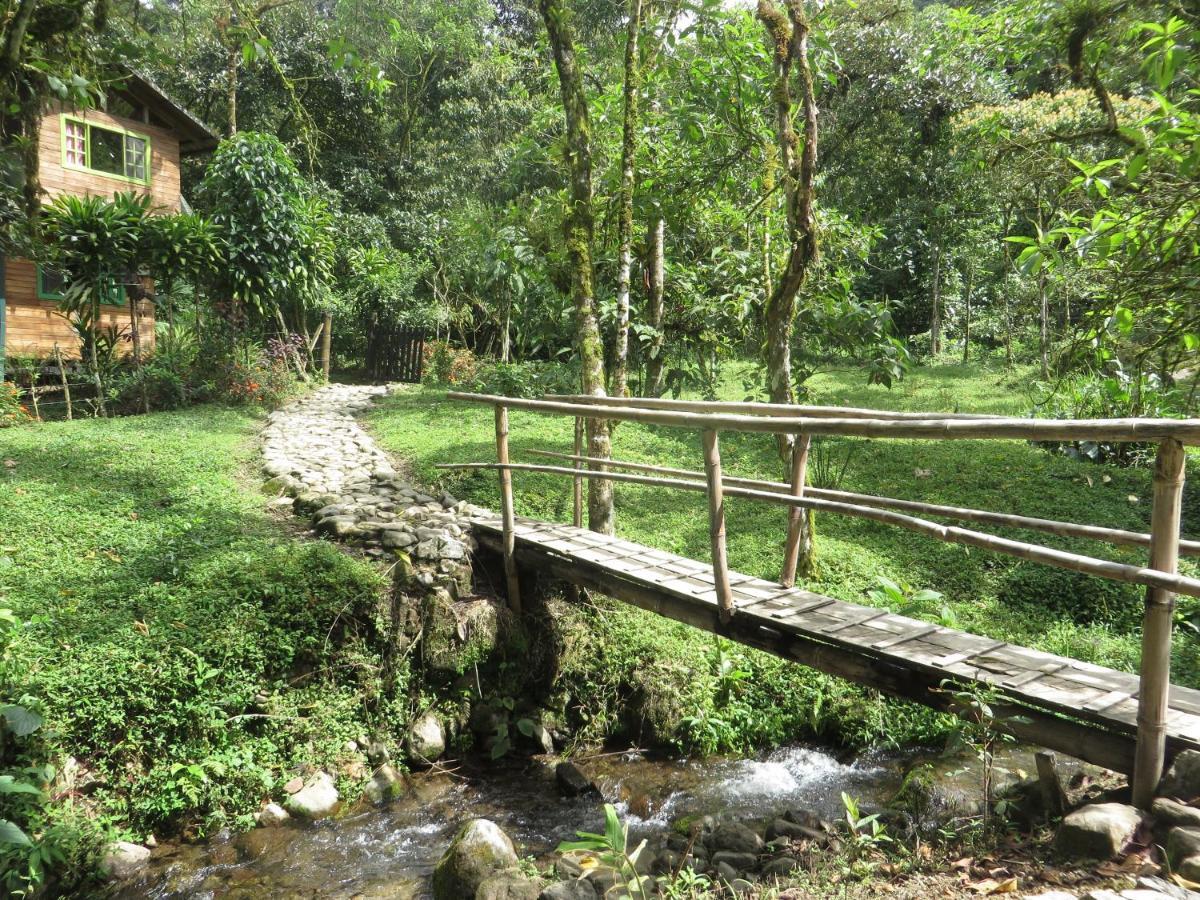 Mindo Eco Chalet Con Rio Y Cascada Exterior photo