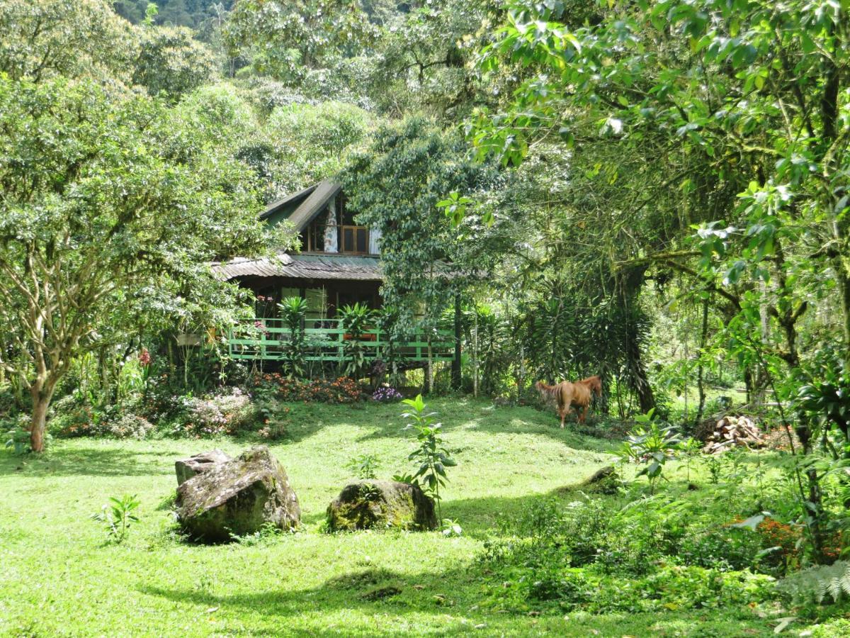 Mindo Eco Chalet Con Rio Y Cascada Exterior photo