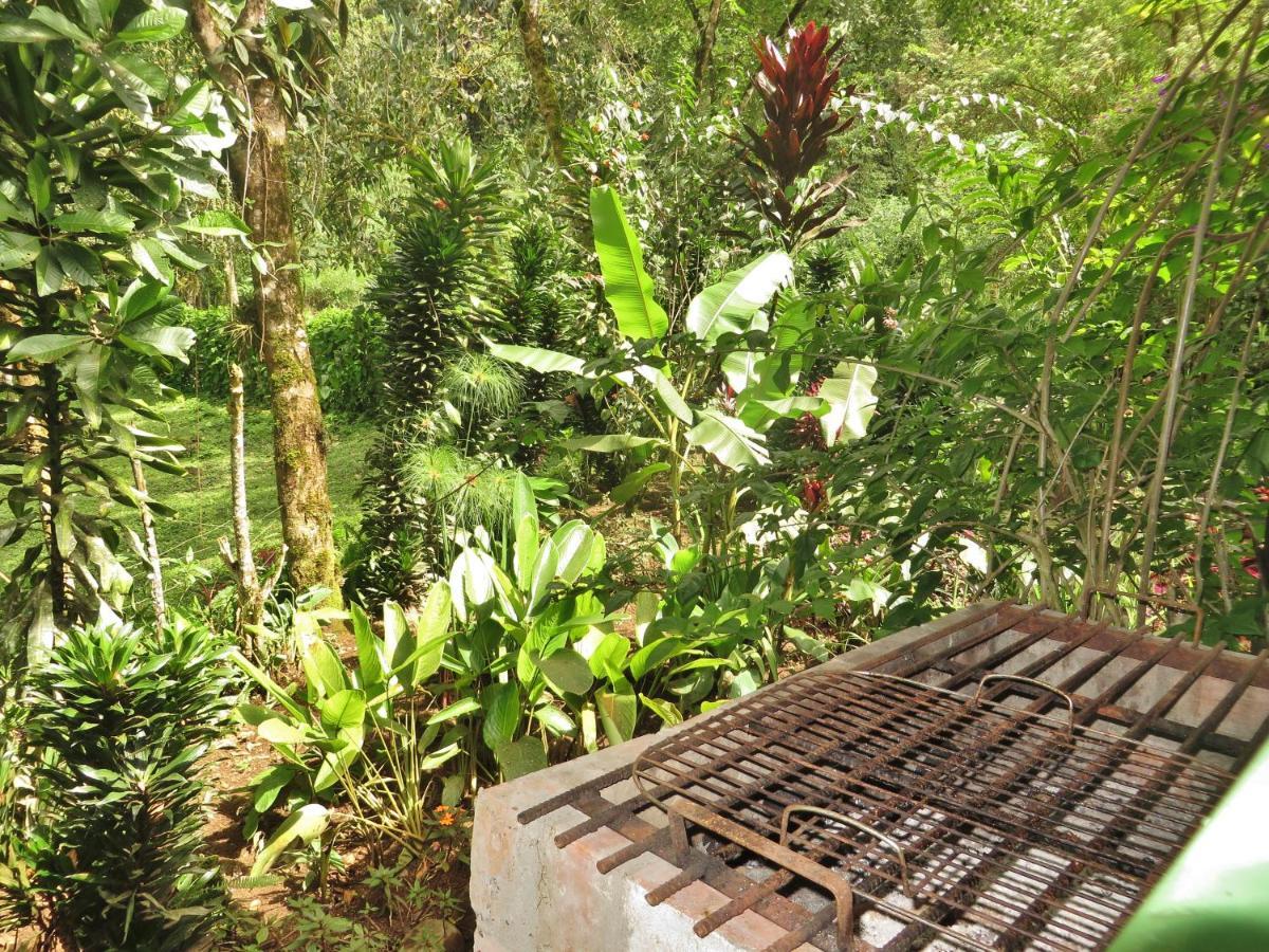 Mindo Eco Chalet Con Rio Y Cascada Exterior photo