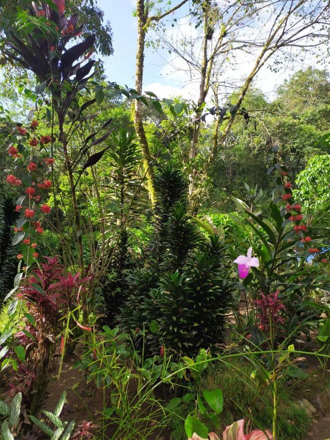 Mindo Eco Chalet Con Rio Y Cascada Exterior photo