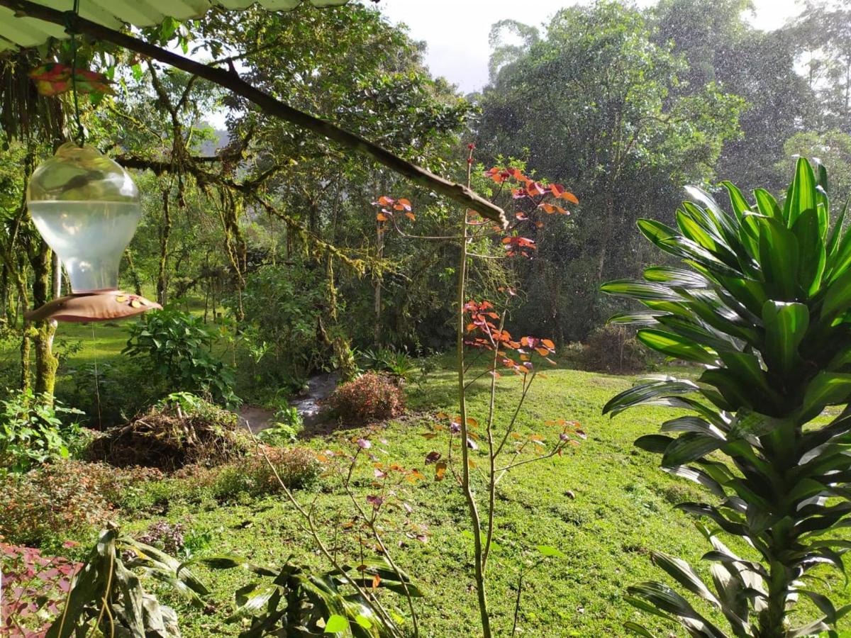 Mindo Eco Chalet Con Rio Y Cascada Exterior photo